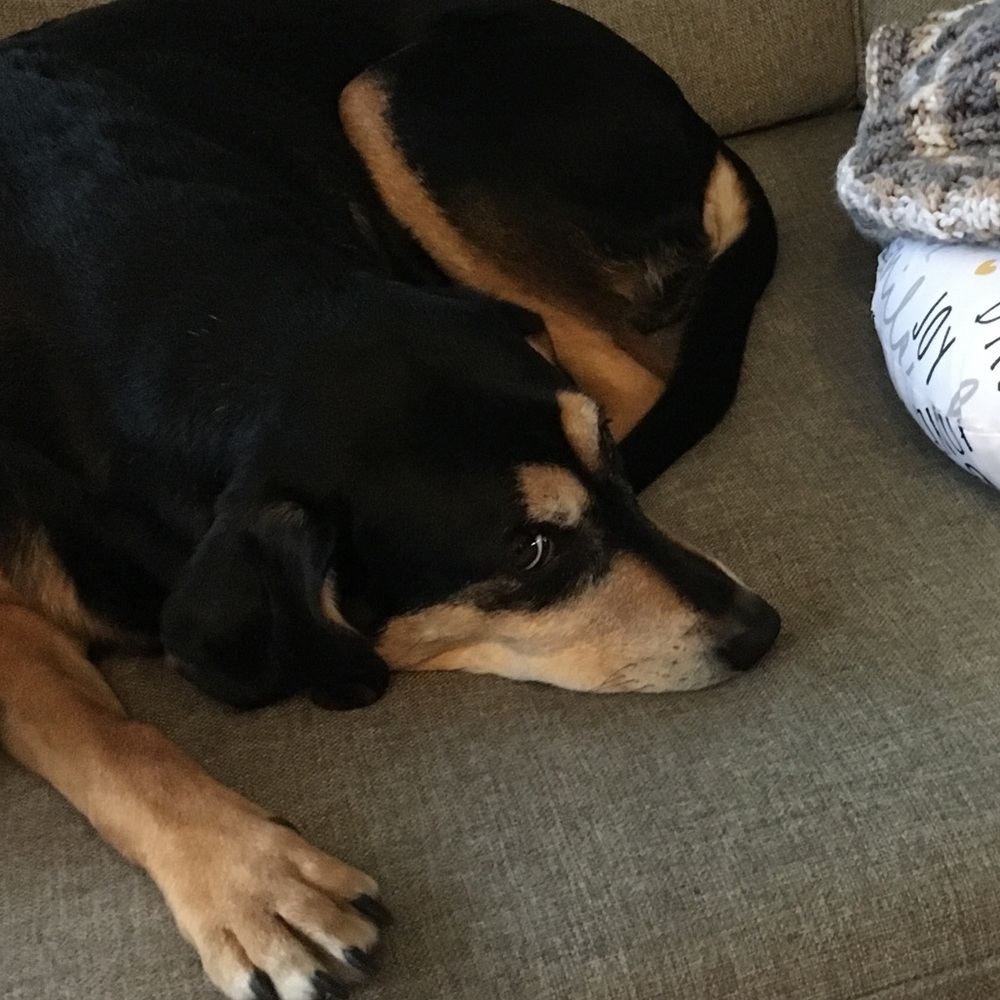 Meet your Posher, Pete